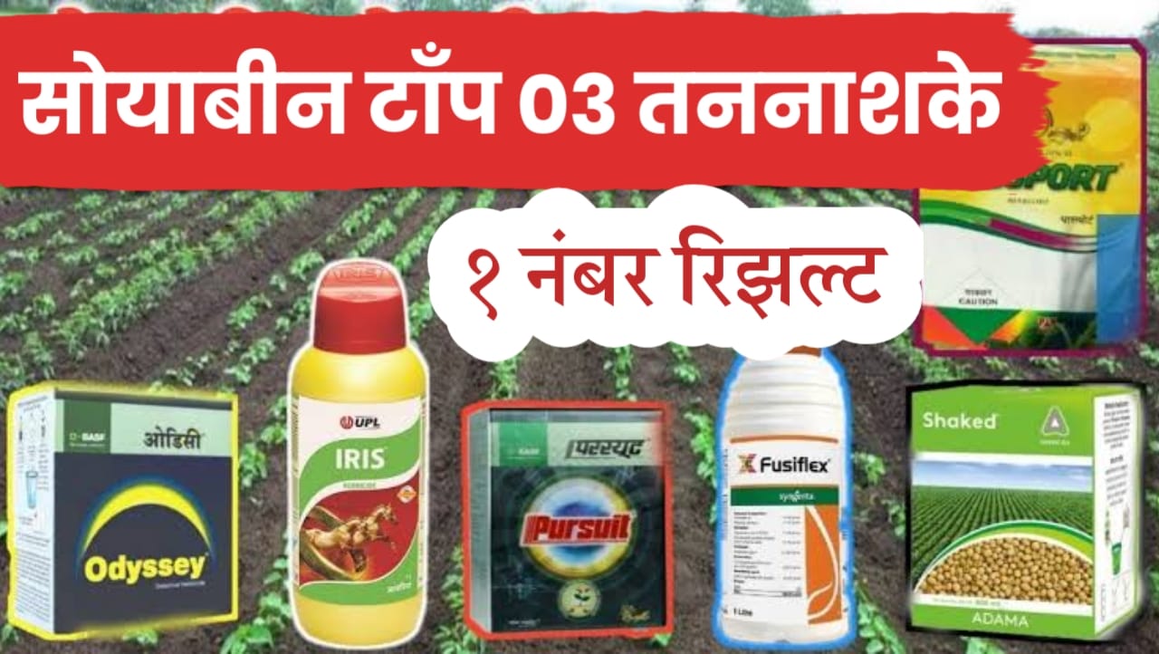 सोयाबीन तननाशक