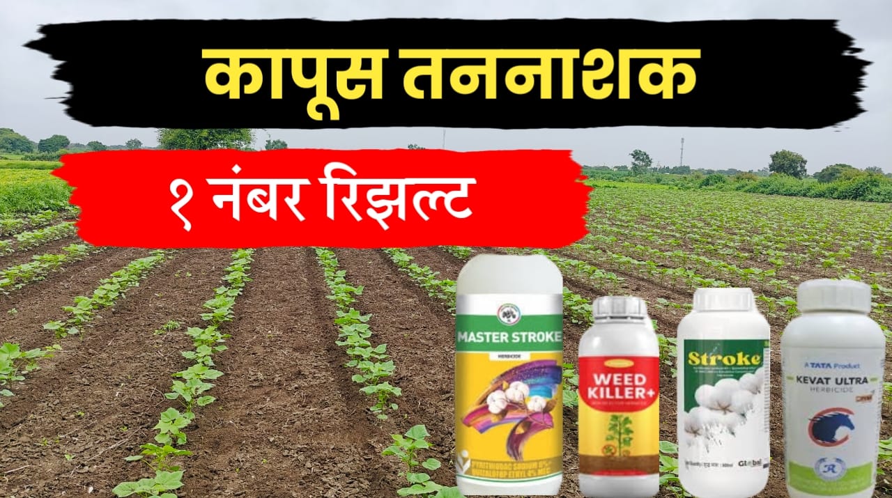 कापूस तननाशक